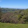 The hills of Joseph D. Grant County Park stretch on forever, with Grant Lake in the valley below on the left. Far in the distance are the blue Santa Cruz Mountains. Looking southwest from high on Halls Valley Trail.