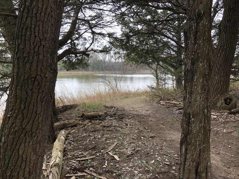 Lots of fishermen along this area, there's a small bench made of logs in the middle of these trees.