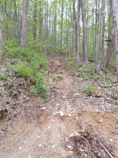 Access from quarry access road back onto trail