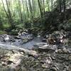 Tea Creek Crossing on the Tea Creek Trail.