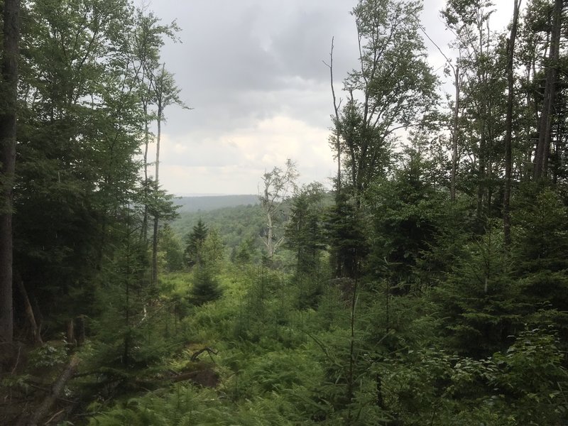 View from Boundary Trail