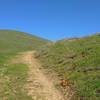 Pala Seca Trail climbs a high grassy ridge with wildflowers - orange California poppies.