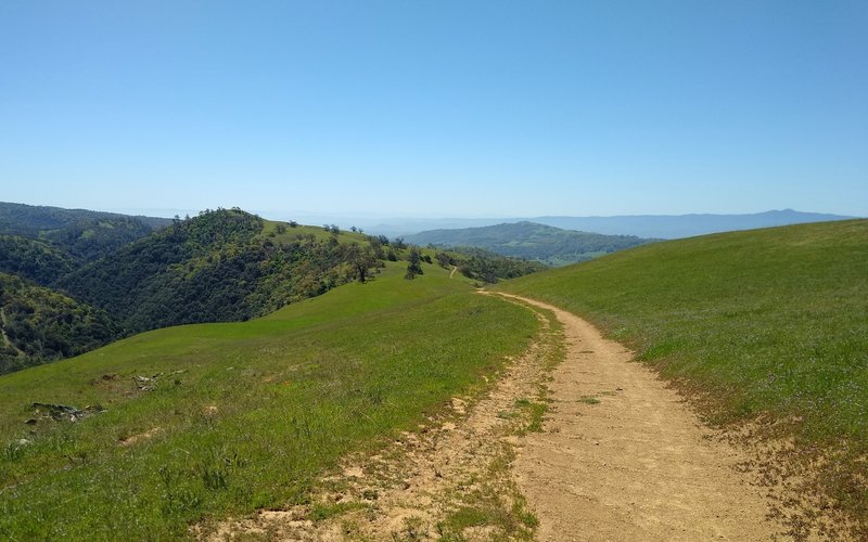 The rugged Diablo Range hills to the east (left), ridges into the far distance, to the far side of Monterey Bay, to the south (center), and distant blue Santa Cruz Mountains, with the highest - Loma Prieta, to the southwest (right) from Pala Seca Trail.