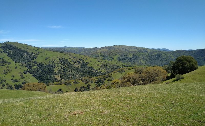 The Diablo Range hills seem to go on forever to the east of the grassy ridge traversed by Pala Seca Trail.