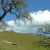 Mount Hamilton, 4,265 ft. (with Lick Observatory on its summit), are close by as they pop up behind the hills when climbing on Canada de Pala Trail just north of Mt. Hamilton Rd.