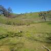 A small creek runs through this wide high creek valley, with a marshy area along the creek, at the Washburn/Canada de Pala trail junction.