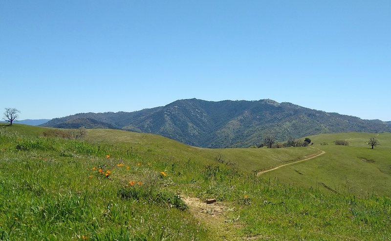 Copernicus Peak, the highest point in Santa Clara County at 4,360 ft. (center) and Mt. Hamilton, 4,265 ft., (right center), can be seen when looking southeast from high on Antler Point Trail.