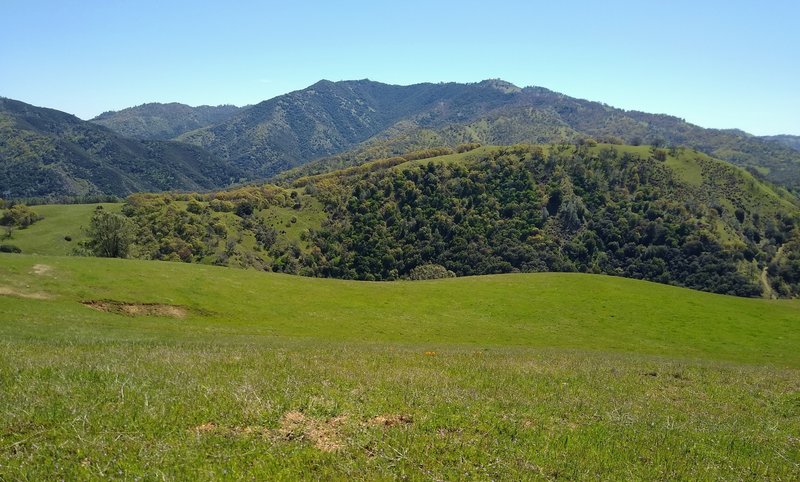 Copernicus Peak, the highest point in Santa Clara County at 4,360 ft. (left center) and Mt. Hamilton, 4,265 ft., (right center), share a ridge in the Diablo Range, seen looking southeast from Pala Seca Trail.