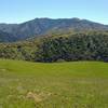 Copernicus Peak, the highest point in Santa Clara County at 4,360 ft. (left center) and Mt. Hamilton, 4,265 ft., (right center), share a ridge in the Diablo Range, seen looking southeast from Pala Seca Trail.