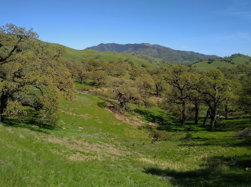 Copernicus Peak, the highest point in Santa Clara County at 4,360 ft. (left of center), and Mt Hamilton, 4.265 ft. (right of center), on their distant ridge to the southeast of Washburn Trail.