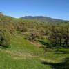 Copernicus Peak, the highest point in Santa Clara County at 4,360 ft. (left of center), and Mt Hamilton, 4.265 ft. (right of center), on their distant ridge to the southeast of Washburn Trail.