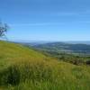 Great views of the blue Santa Cruz Mountains in the distance on the far side of Santa Clara Valley, and nearer views of the ridge across the broad San Felipe Creek Valley, seen from highest stretch of Washburn Trail.  Distant Anderson Lake center left