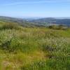 Amid wildflowers, views of Monterey Peninsula (center left, very far distance). In front of it is Anderson Lake in Santa Clara Valley below these Diablo Range hills, Santa Cruz Mountains, and San Felipe Creek Valley and its west ridge (right distance).