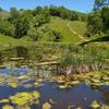 Bass Lake with its lily pads and grasses, is visited by Bass Lake Trail and Loop Trail.