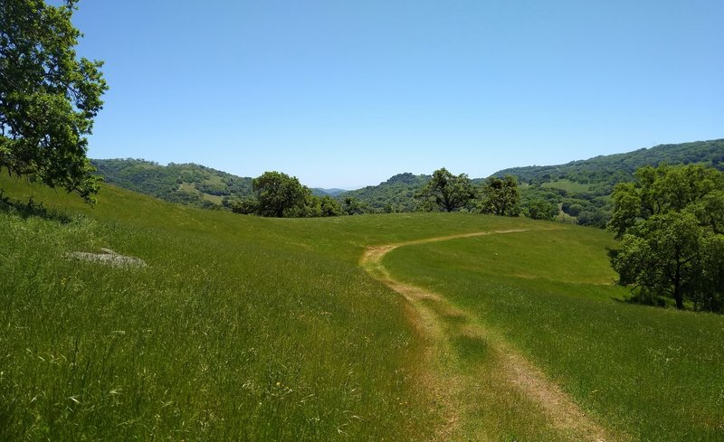 Bass Lake Trail winds through the spring green grass and wooded hills of Joseph D. Grant County Park.