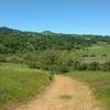 The broad San Felipe Creek Valley (right) and wooded hills to the west of it, are seen from Hotel Trail.