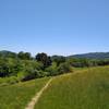 The beautiful wooded and grass hills of Joseph D. Grant County Park, seen from Loop Trail.