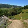 The broad San Felipe Creek Valley and wooded hills to the west, when descending Loop Trail.