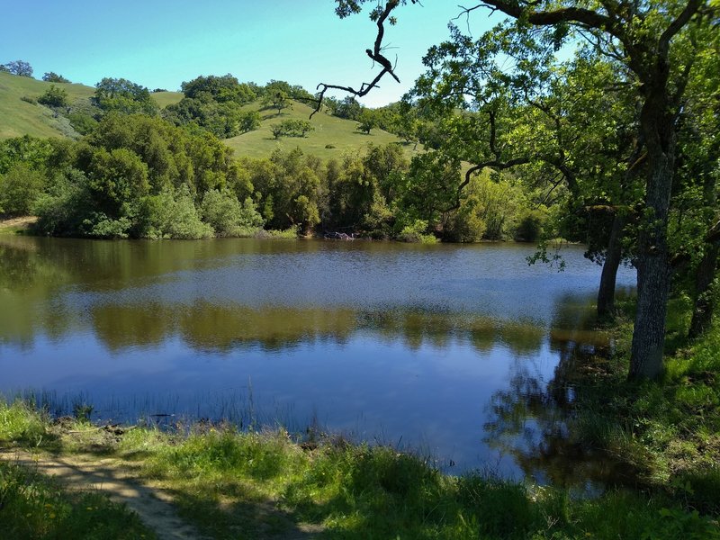 Tiny McCreery Lake, set in the wooded and grass hills, is found at the trail junction of Loop, McCreery Lake, and Lakeview Trails in Joseph D. Grant county Park.