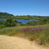 Grant Lake views, spring green hills, and wildflowers - purple smooth vetch and orange California poppies, are what Lakeview Trail is all about.