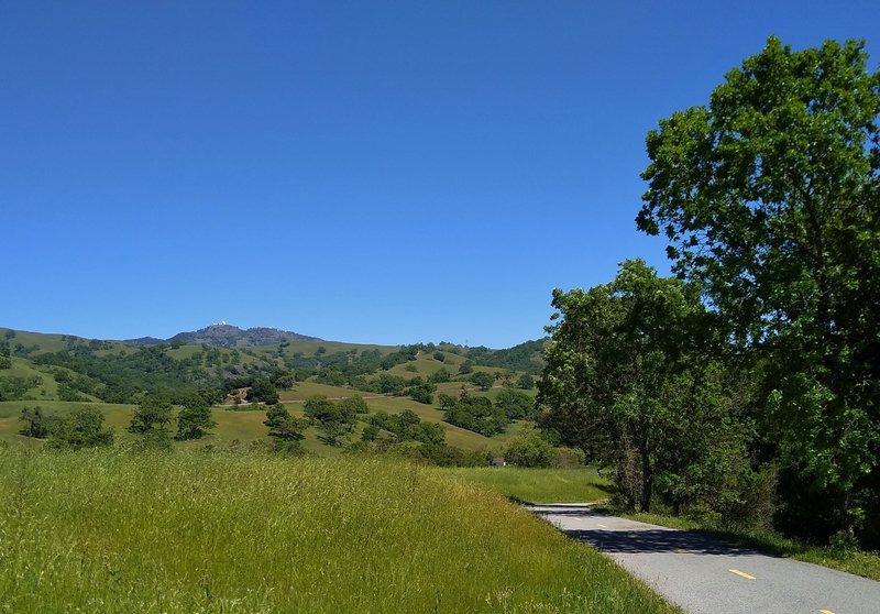 The wooded and grass hills of the Diablo Range, including Mt. Hamilton, 4,265 ft., with Lick Observatory on its summit, are seen to the east from Grant Trail.