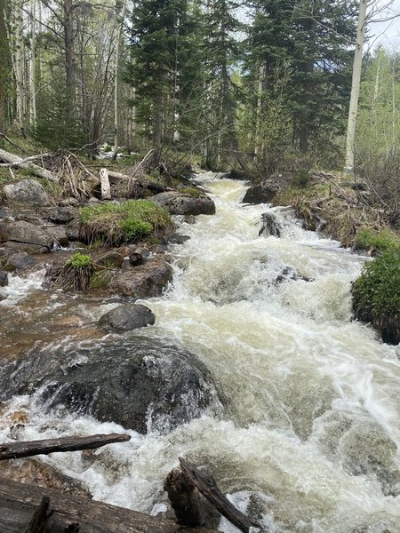 Grouse Creek, right next to the trail