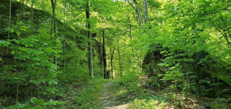 Trail passing between large rock exposures