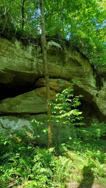 Rock shelf supported by rock pile