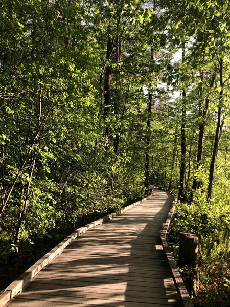 There are several boardwalks along the East side of short park loop