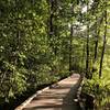 There are several boardwalks along the East side of short park loop