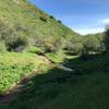 Looking down Little Fork, with one of the trail's many creek crossings.