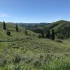 A look at the final climb out of Trail Canyon, with a view of the wonderful greenery of spring