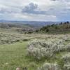 Quaking Aspen Creek