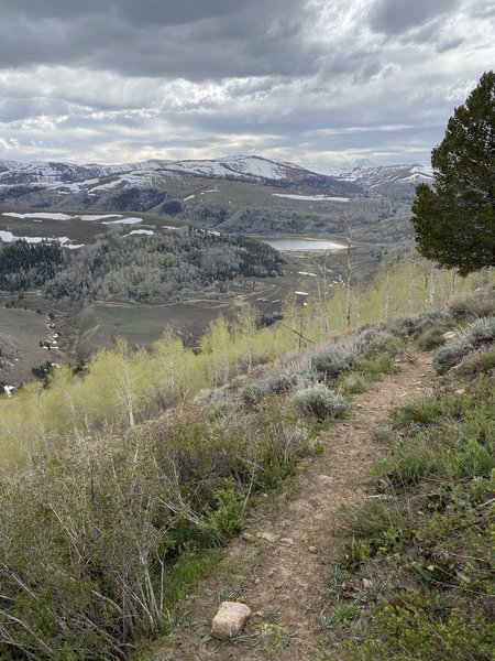 Mill Canyon Trail