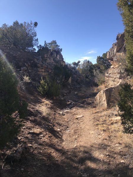 Uphill section of Grandview Trail (T130)