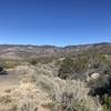 Grandview Trail (T130) scrubland