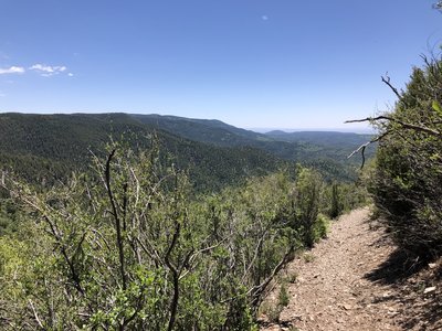 Views along Alamo Peak Trail #109