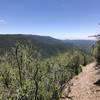 Views along Alamo Peak Trail #109