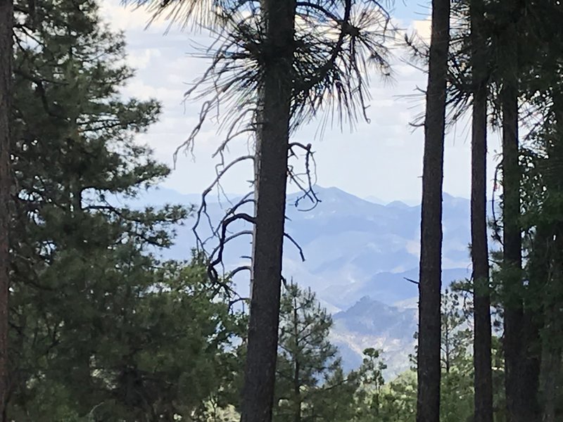 Blue Range Primitive Area as seen from the trailhead