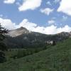 Views of Mount Diller come into view as the trail skirts a mountain meadow.