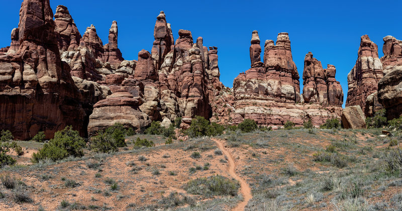 Heading north towards Devils Kitchen across this stretch of needles