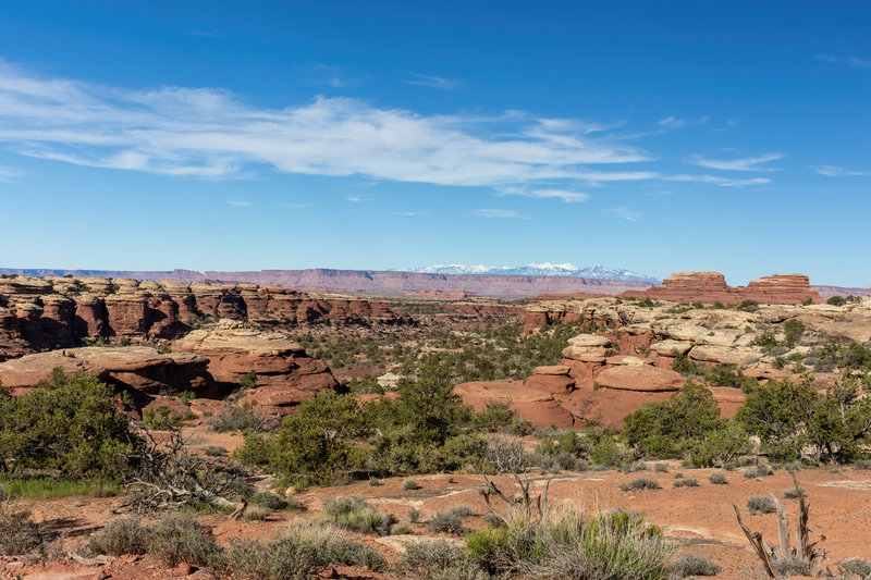 View across the plateau just north of Elephant Hill