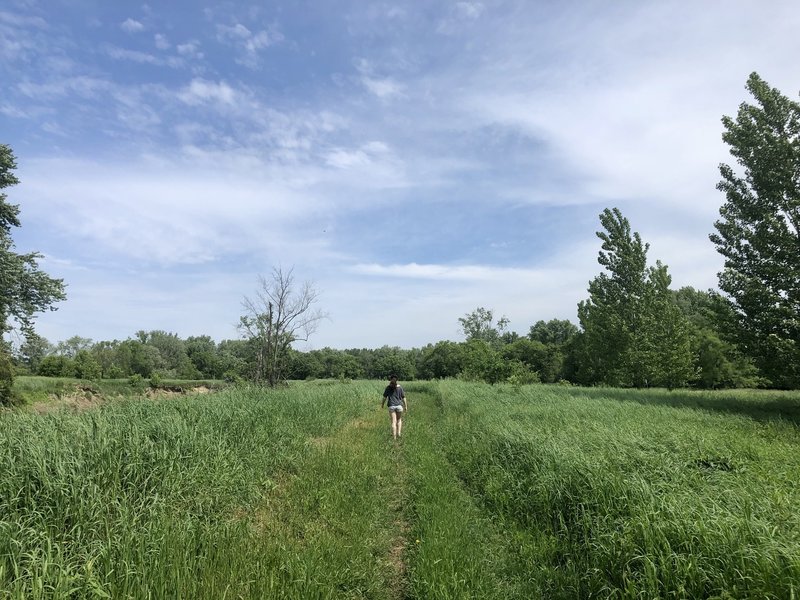 Walking along the Otter Creek.