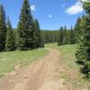 Crossing an open meadow.