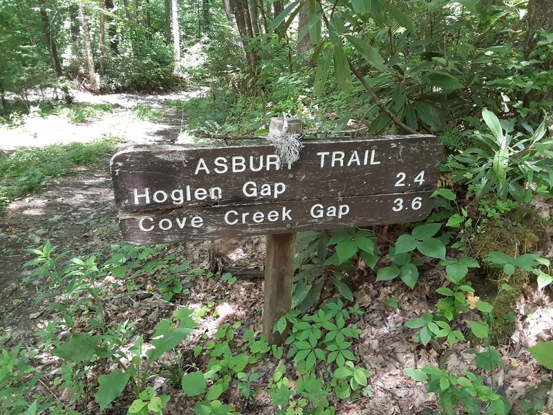 Trail marker at bottom