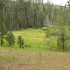 Hodgdon Meadow sits off to the right side of the trail as you follow the Big Oak Flat Road into the forest.