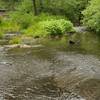 The creek floors the road in the spring.   The only way across is to walk through the water, which isn't deep but your shoes will get wet!