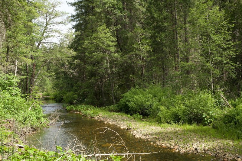 The Carlon Picnic Area cutoff is little more than a game trail used by fishermen as they look for great spots along the South Fork of the Tuolumne River, which meanders along the trail and you have to figure out how to cross as there is no bridge.