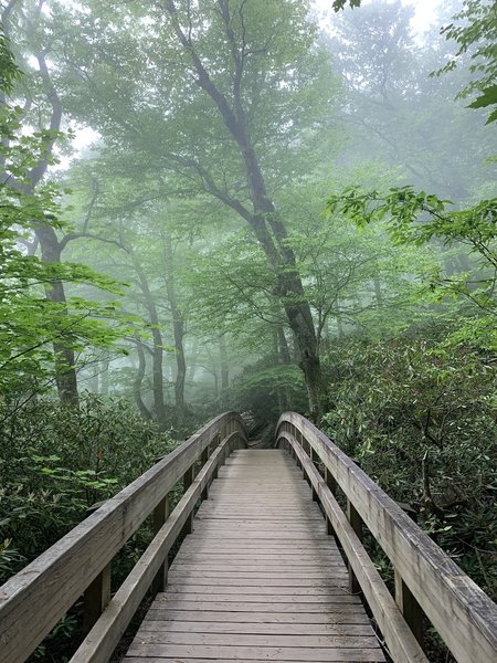 Rainy day up in the clouds overlooking the trail to Lin cove