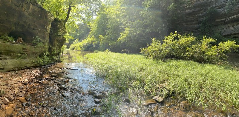 At the creek